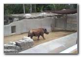San-Diego-Zoo-Pictures-011