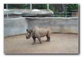 San-Diego-Zoo-Pictures-012