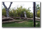 San-Diego-Zoo-Pictures-015