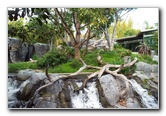 San-Diego-Zoo-Pictures-017
