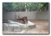 San-Diego-Zoo-Pictures-018