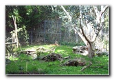 San-Diego-Zoo-Pictures-029