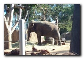 San-Diego-Zoo-Pictures-038