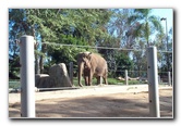San-Diego-Zoo-Pictures-039