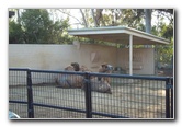 San-Diego-Zoo-Pictures-049