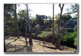 San-Diego-Zoo-Pictures-050