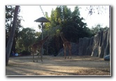 San-Diego-Zoo-Pictures-060