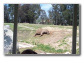 San-Diego-Zoo-Pictures-073