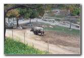 San-Diego-Zoo-Pictures-080