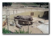 San-Diego-Zoo-Pictures-081