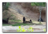 San-Diego-Zoo-Pictures-097