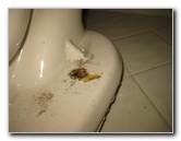 Sani-Seal-Waxless-Toilet-Flange-Gasket-Installation-Guide-021