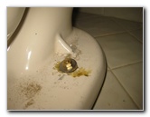 Sani-Seal-Waxless-Toilet-Flange-Gasket-Installation-Guide-024