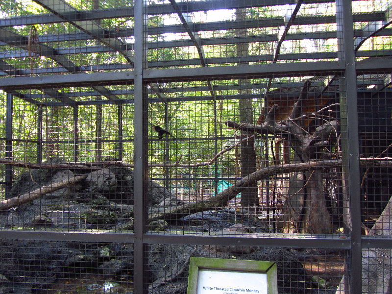 Sante-Fe-Community-College-Teaching-Zoo-Gainesville-FL-002