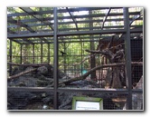 Sante-Fe-Community-College-Teaching-Zoo-Gainesville-FL-002