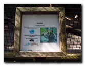 Sante-Fe-Community-College-Teaching-Zoo-Gainesville-FL-009