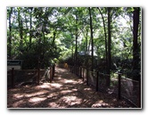 Sante-Fe-Community-College-Teaching-Zoo-Gainesville-FL-017