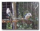 Sante-Fe-Community-College-Teaching-Zoo-Gainesville-FL-026