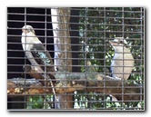 Sante-Fe-Community-College-Teaching-Zoo-Gainesville-FL-028
