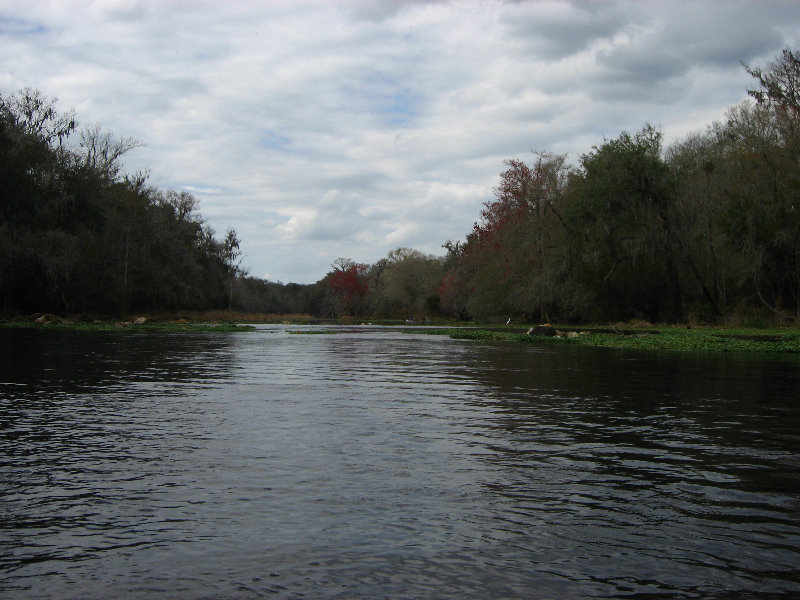 Sante-Fe-River-High-Springs-Florida-011