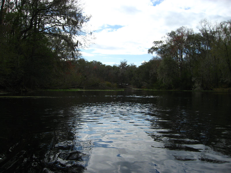 Sante-Fe-River-High-Springs-Florida-016