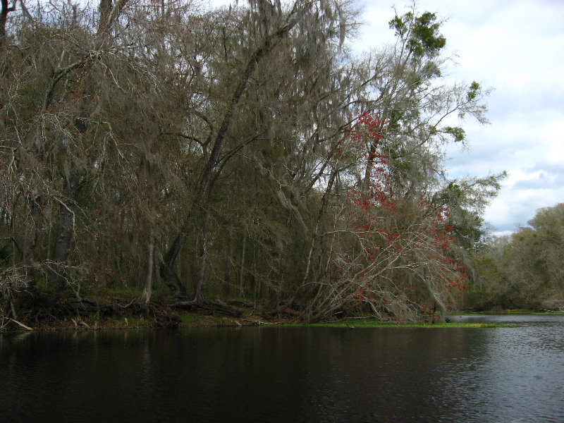 Sante-Fe-River-High-Springs-Florida-035