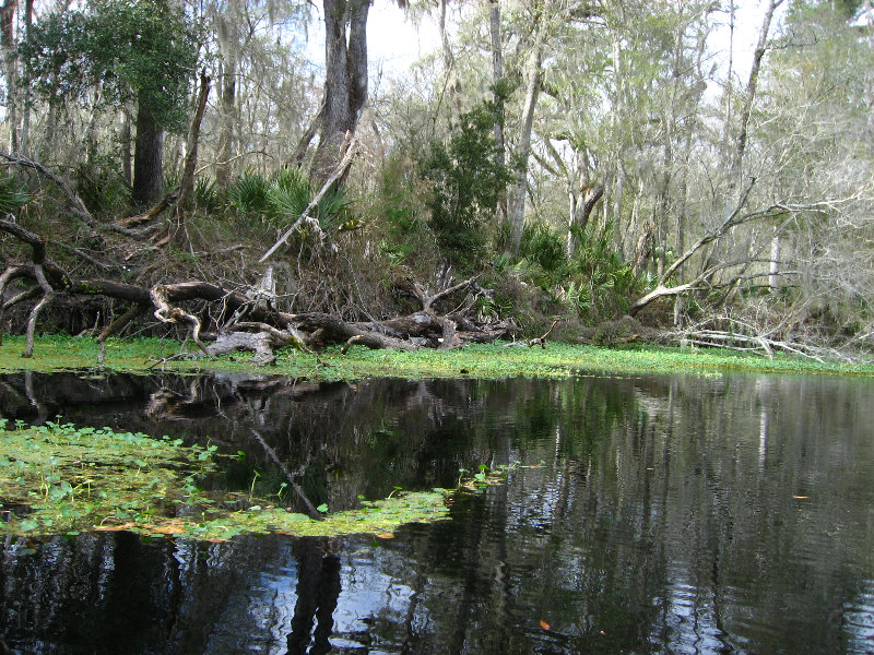 Sante-Fe-River-High-Springs-Florida-047