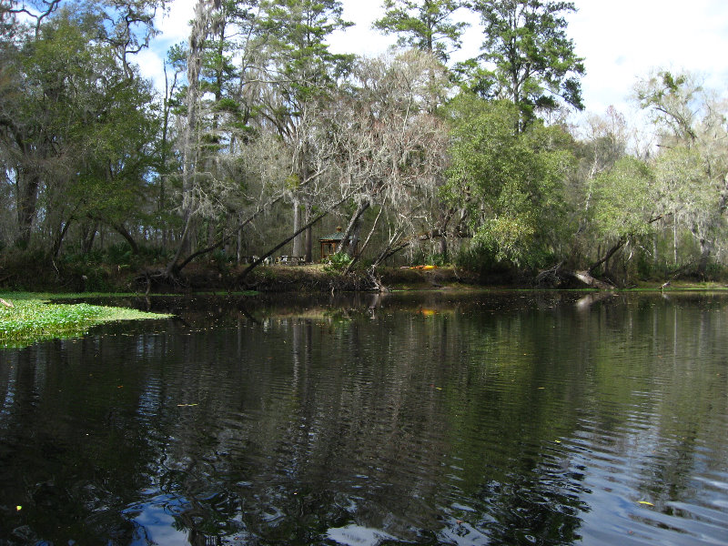 Sante-Fe-River-High-Springs-Florida-048