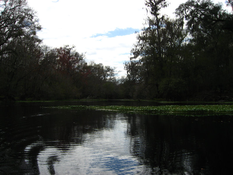 Sante-Fe-River-High-Springs-Florida-049