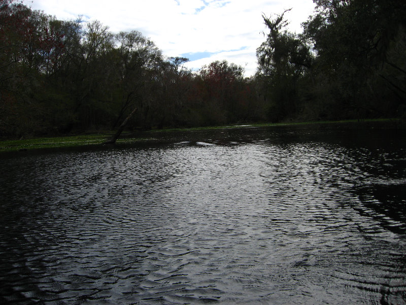 Sante-Fe-River-High-Springs-Florida-053