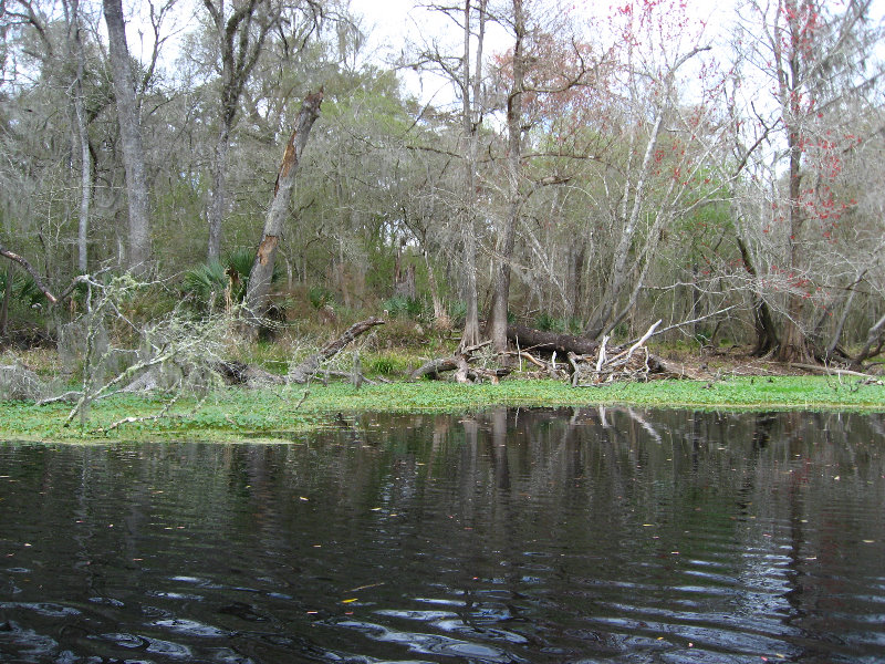 Sante-Fe-River-High-Springs-Florida-054