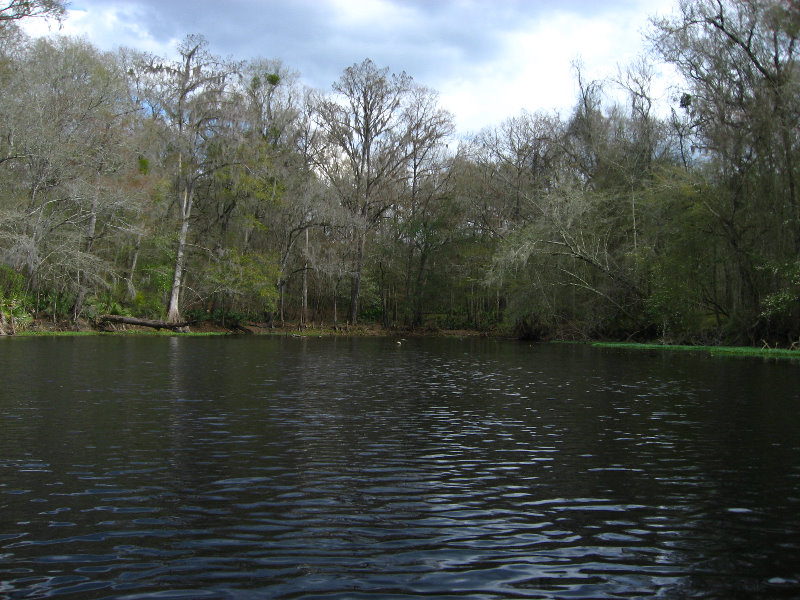 Sante-Fe-River-High-Springs-Florida-057