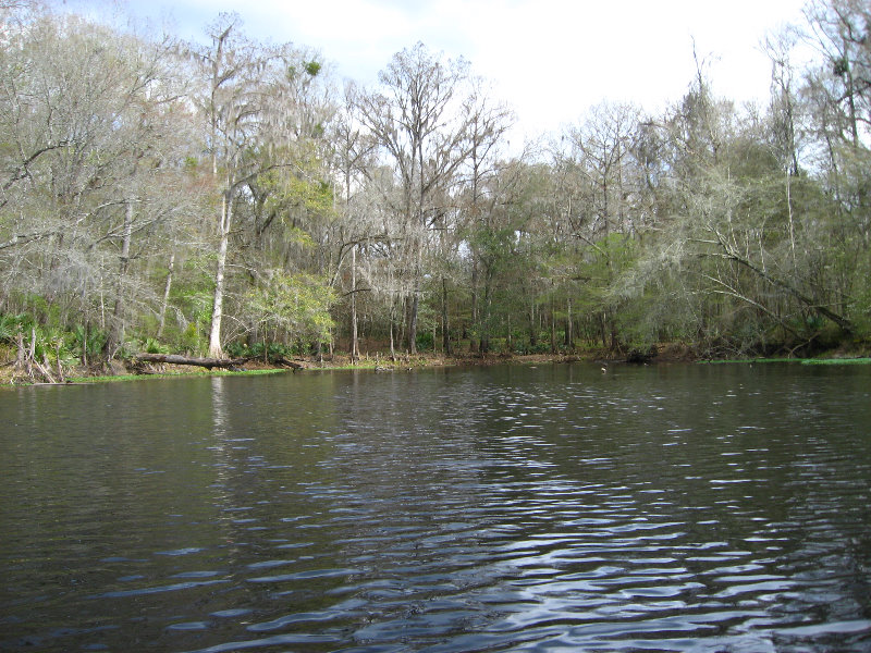 Sante-Fe-River-High-Springs-Florida-058