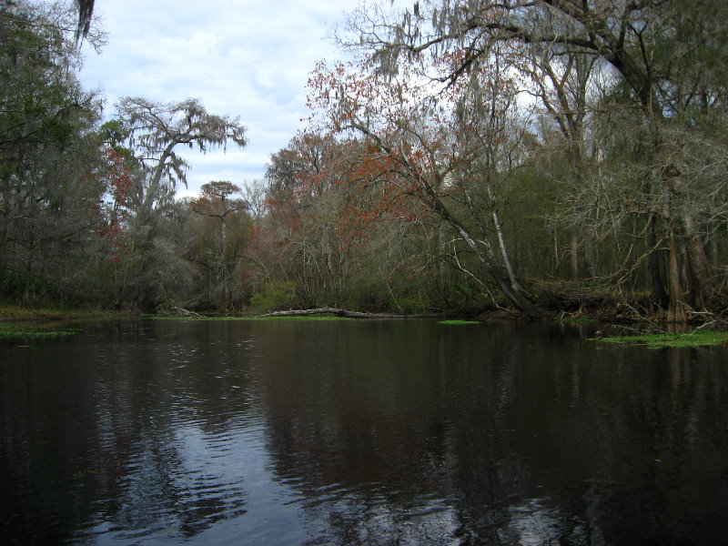 Sante-Fe-River-High-Springs-Florida-067