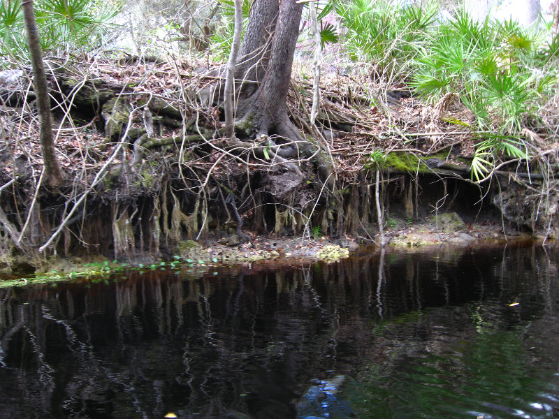 Sante-Fe-River-High-Springs-Florida-072