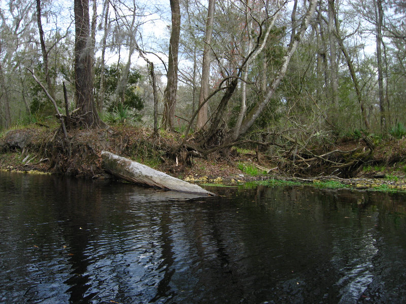 Sante-Fe-River-High-Springs-Florida-073