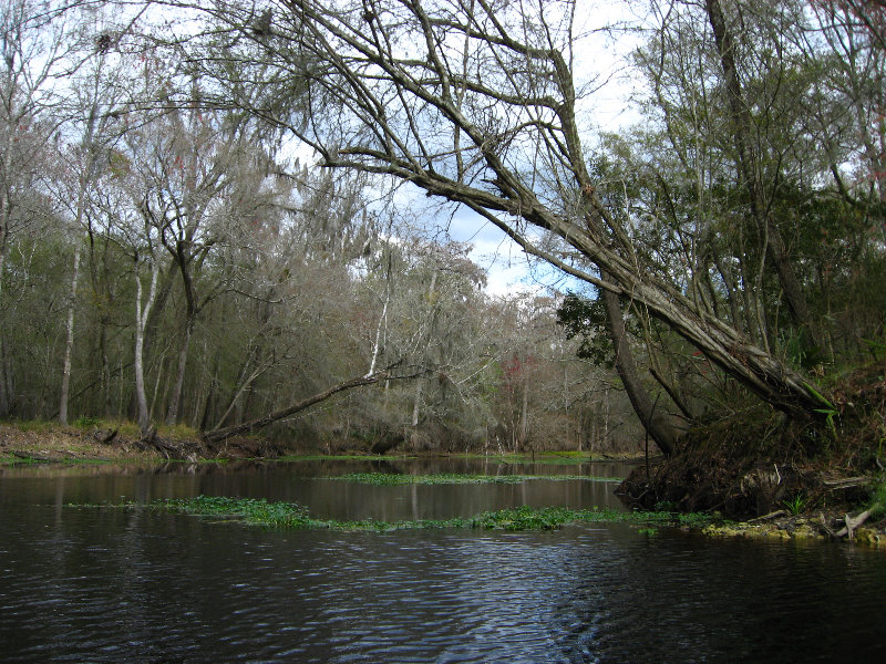 Sante-Fe-River-High-Springs-Florida-074