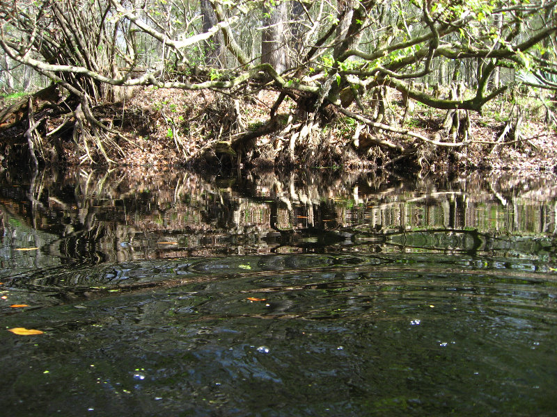 Sante-Fe-River-High-Springs-Florida-081