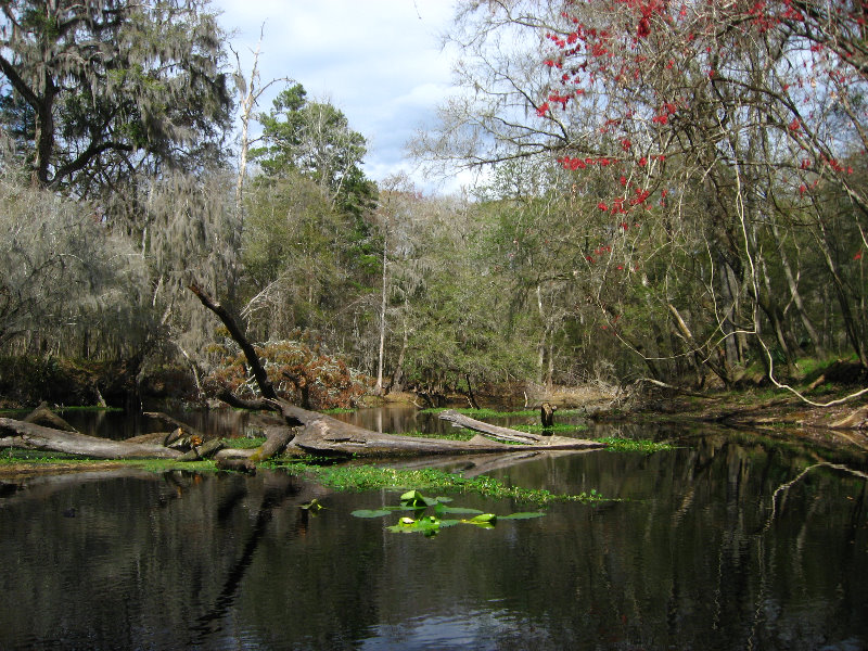 Sante-Fe-River-High-Springs-Florida-083