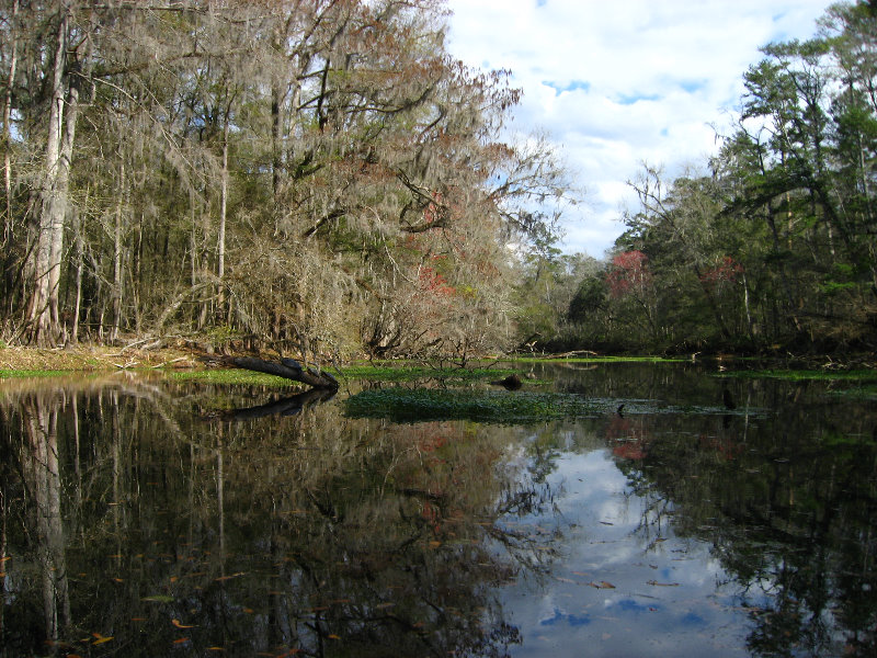 Sante-Fe-River-High-Springs-Florida-090