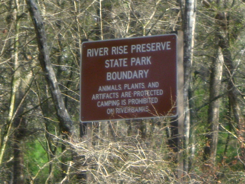 Sante-Fe-River-High-Springs-Florida-111