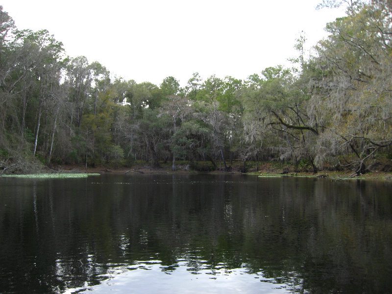 Sante-Fe-River-High-Springs-Florida-123