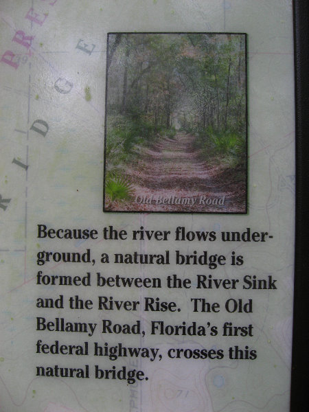 Sante-Fe-River-High-Springs-Florida-130