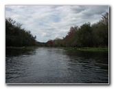 Sante-Fe-River-High-Springs-Florida-011