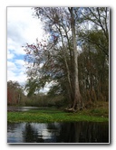 Sante-Fe-River-High-Springs-Florida-021