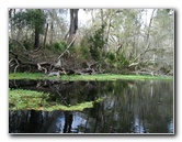 Sante-Fe-River-High-Springs-Florida-047