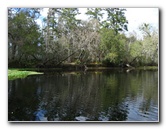 Sante-Fe-River-High-Springs-Florida-048