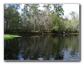 Sante-Fe-River-High-Springs-Florida-048