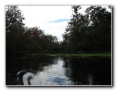 Sante-Fe-River-High-Springs-Florida-049