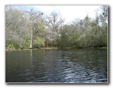 Sante-Fe-River-High-Springs-Florida-058